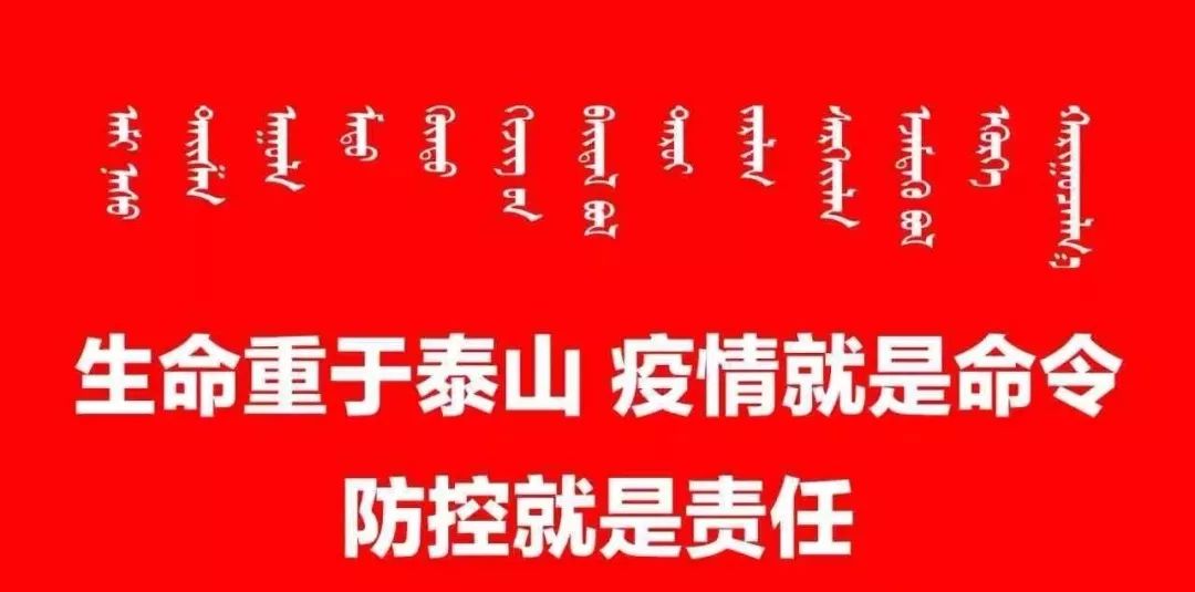 科尔沁右翼前旗政务服务创新，数据驱动下的最新项目深度解析