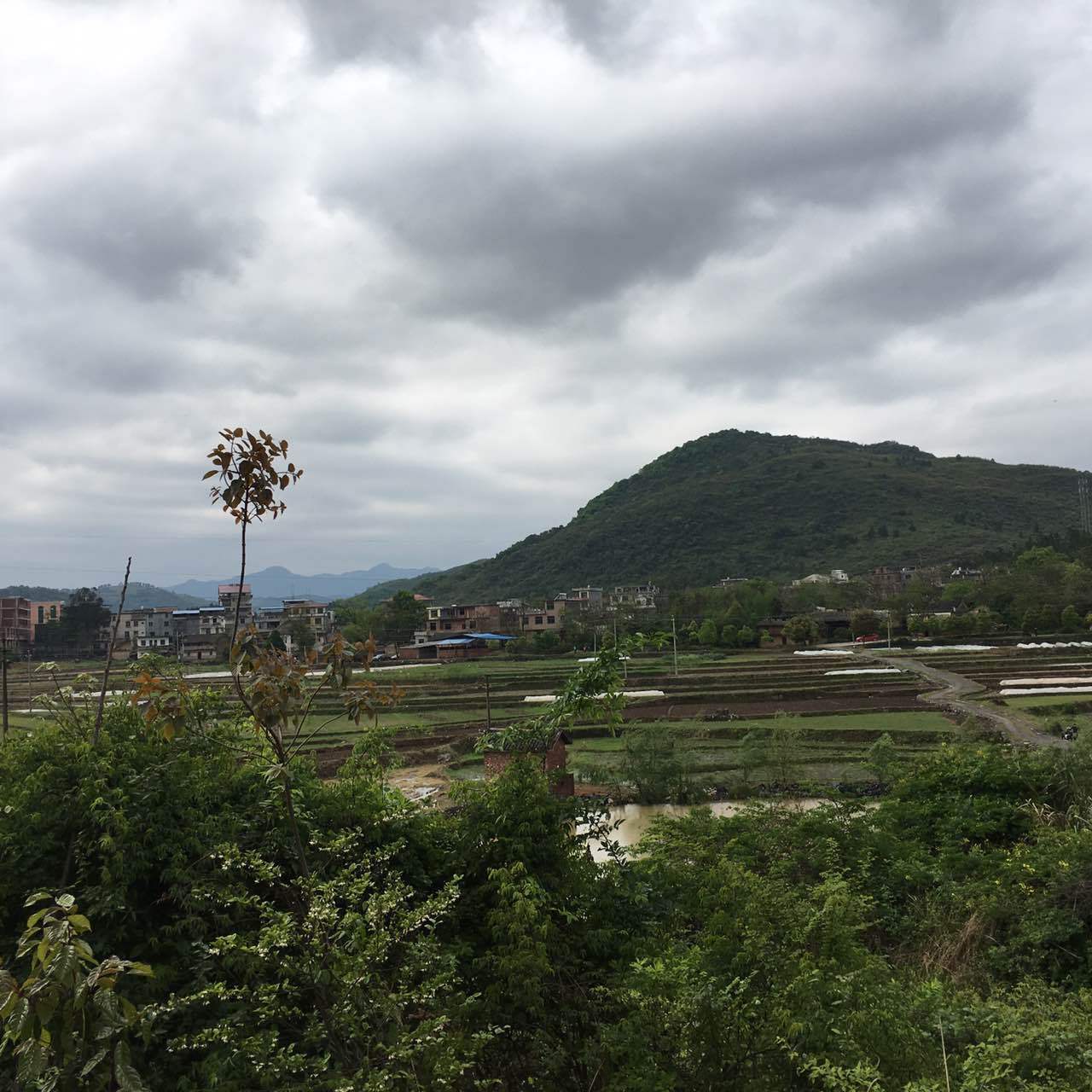 梁坪村天气预报更新通知