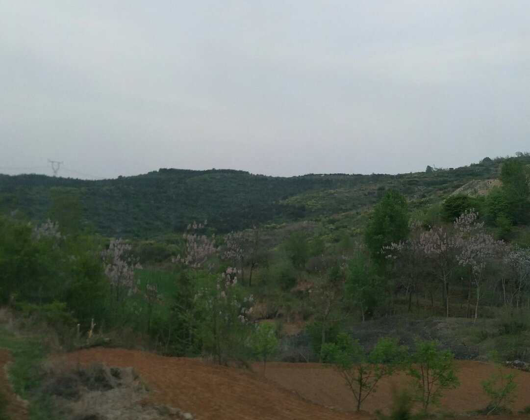 山西省晋城市阳城县寺头乡天气预报更新通知