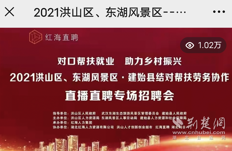 洪山区财政局最新招聘信息全面解析