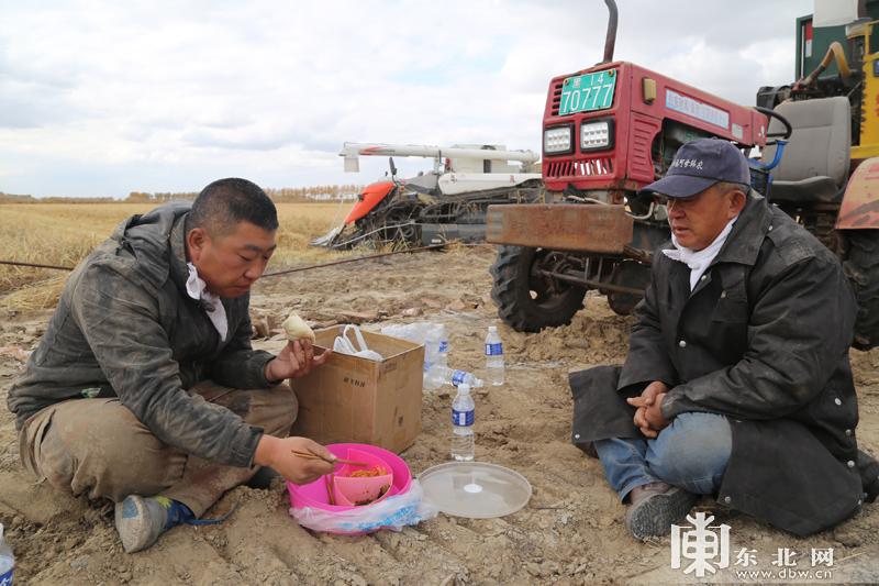 肇源农场最新项目，引领农业现代化新潮流