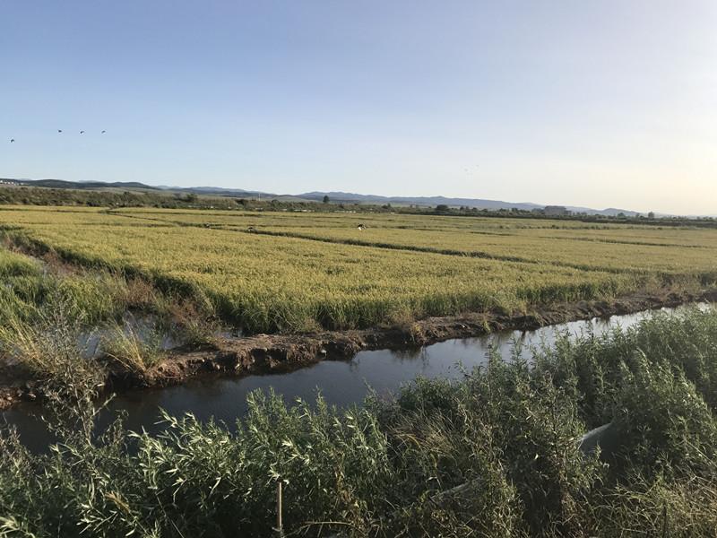 延边朝鲜族自治州市粮食局最新项目概览与动态分析